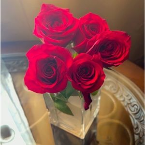 Meet your Posher, Tania